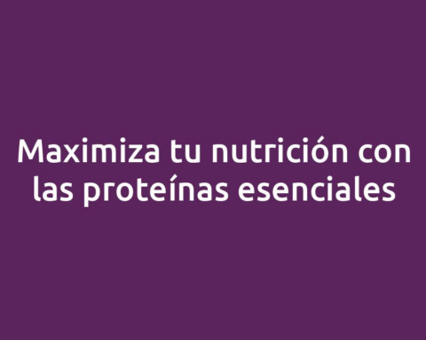 Maximiza tu nutrición con las proteínas esenciales