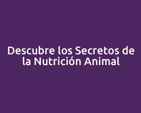 Descubre los Secretos de la Nutrición Animal