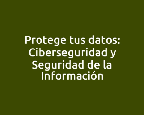 Protege tus datos: Ciberseguridad y Seguridad de la Información