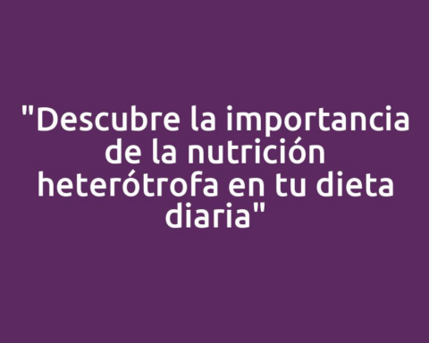 "Descubre la importancia de la nutrición heterótrofa en tu dieta diaria"