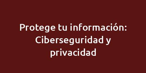 Protege tu información: Ciberseguridad y privacidad